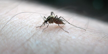 thumbs_b_c_892447fb3b8dca678b23209fb8fda9c4