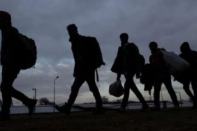 v2kbrshaberler78907477585_1734165211