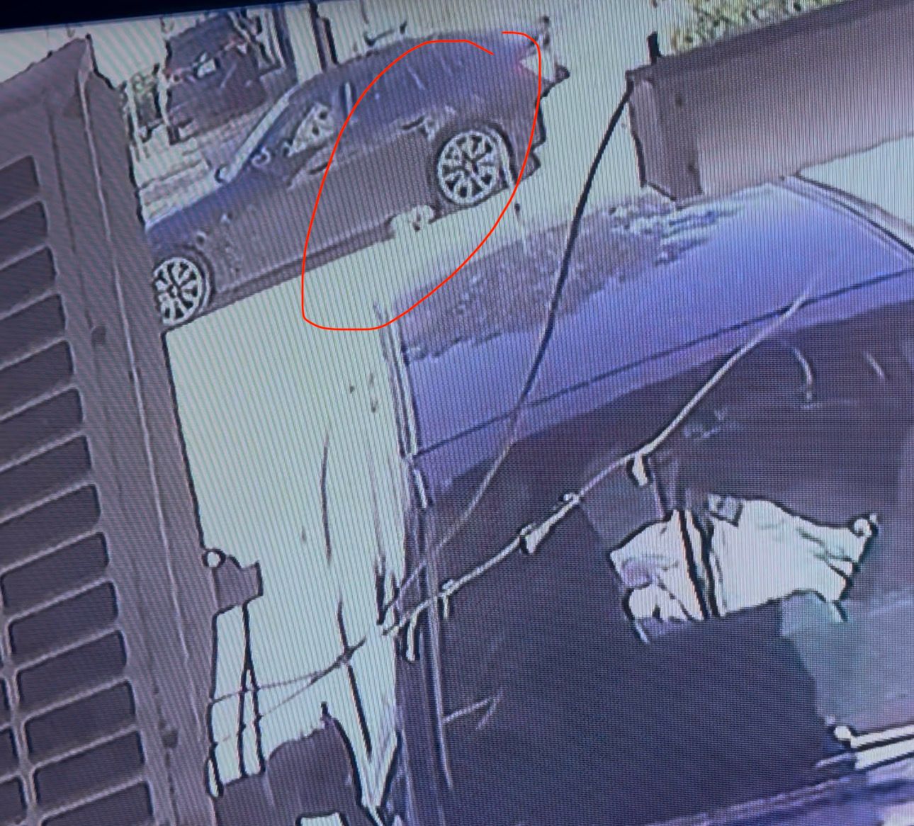 Lefkoşa Marmara Bölgesinde Köpeğe Çarptı Kaçtı