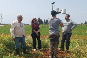 Yeni Proje (11)