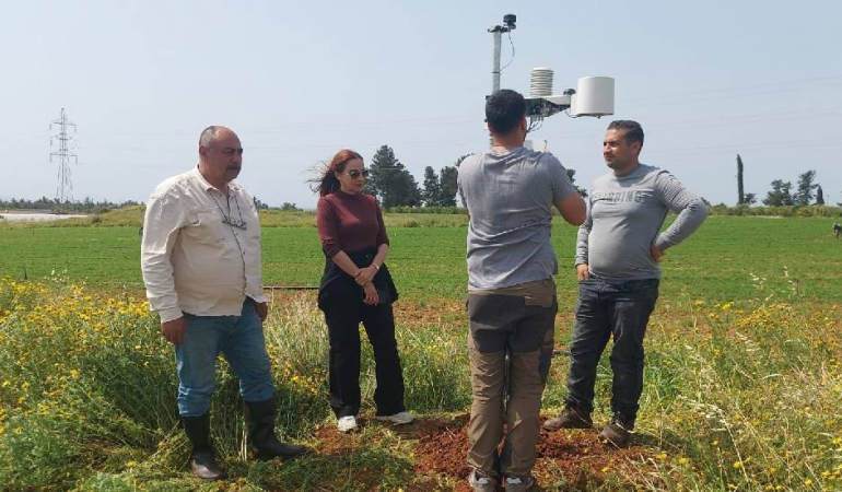 Yeni Proje (11)