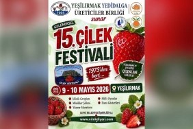 Yeni Proje (14)