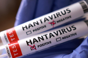 hantavirus-reu-2459423