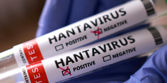 hantavirus-reu-2459423